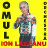 Ion Laceanu - Omul Orchestră